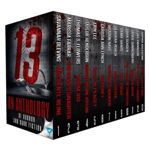 Read more about the article Cover Reveal for the much anticipated Thriller Anthology…13!