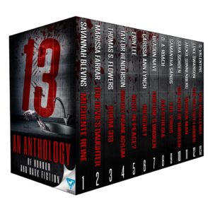 Read more about the article New Release! 13, an Anthology of Dark Fiction and Horror
