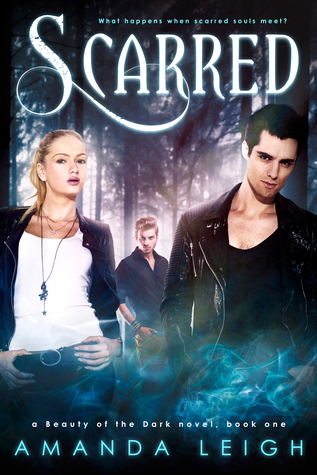 Read more about the article Upcoming YA PNR for Amanda Leigh!!
